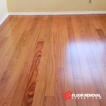 Gallerie Floor Removal Expert