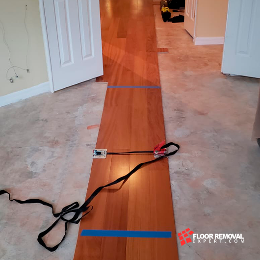 Project Floor Removal Expert