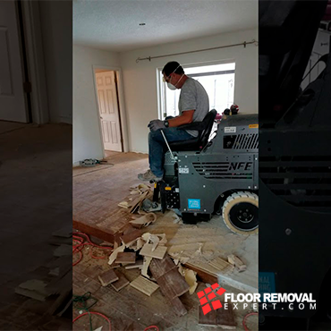 Gallerie Floor Removal Expert